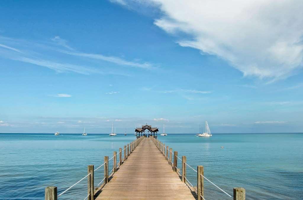 Borneo Eagle Resort Kota Kinabalu Natur foto